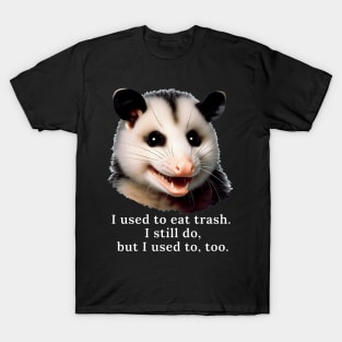 Possum T-Shirt